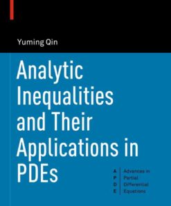Analytic Inequalities and Their Applications in PDEs eBook