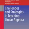 Challenges and Strategies in Teaching Linear Algebra eBook