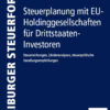 Steuerplanung mit EU-Holdinggesellschaften fuer Drittstaaten-Investoren: Steuerwirkungen, Laenderanalysen, steuerpolitische Handlungsempfehlungen, 1st Edition eBook