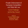 Private Enforcement of European Competition and State Aid Law: Current Challenges and the Way Forward, 1st Edition eBook