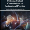 Utilizing Virtual Communities in Professional Practice eBook