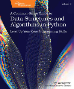A Common-Sense Guide to Data Structures and Algorithms in Python, Volume 1Level Up Your Core Programming Skills, 1st Edition eBook